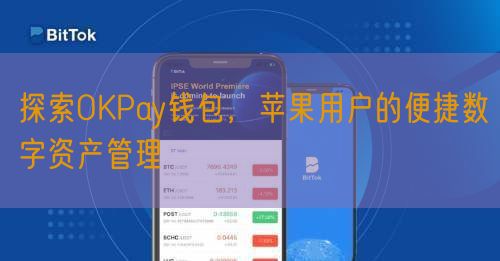 探索OKPay钱包，苹果用户的便捷数字资产管理