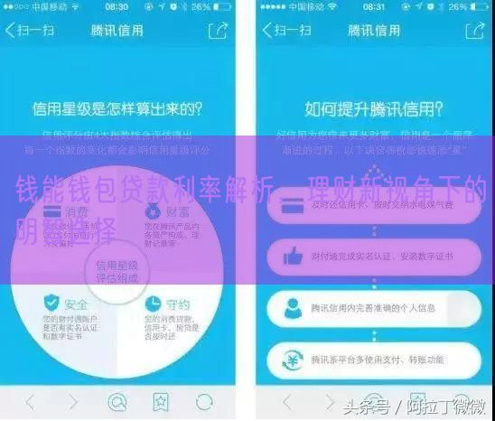 钱能钱包贷款利率解析，理财新视角下的明智选择