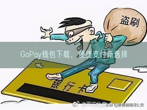 GoPay钱包下载，便捷支付新选择