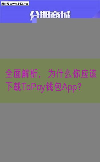 全面解析，为什么你应该下载ToPay钱包App？