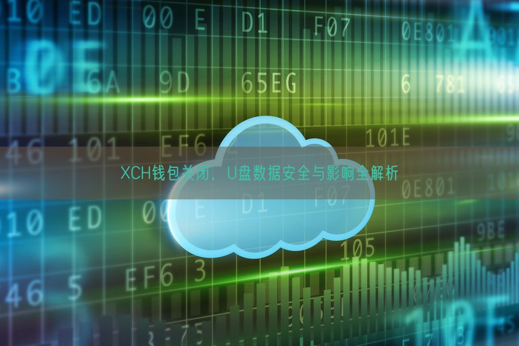 XCH钱包关闭，U盘数据安全与影响全解析