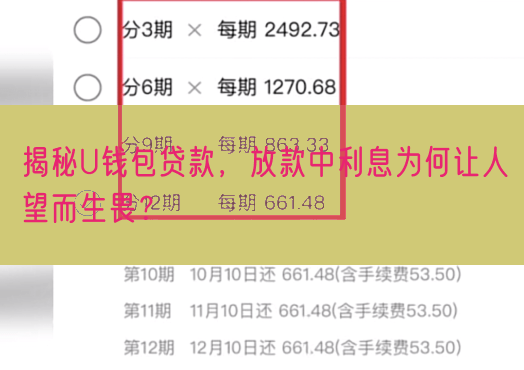 揭秘U钱包贷款，放款中利息为何让人望而生畏？