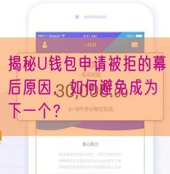 揭秘U钱包申请被拒的幕后原因，如何避免成为下一个？