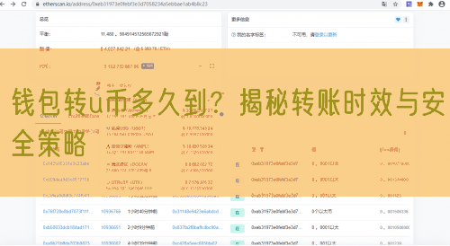 钱包转u币多久到？揭秘转账时效与安全策略