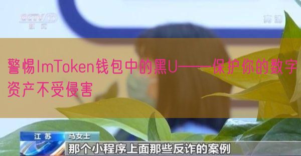 警惕ImToken钱包中的黑U——保护你的数字资产不受侵害