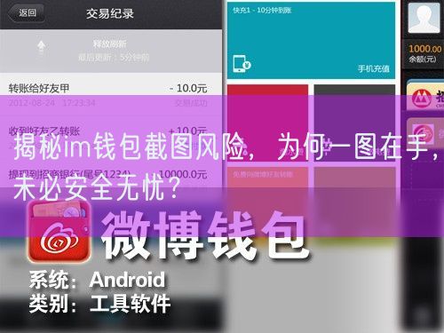 揭秘im钱包截图风险，为何一图在手，未必安全无忧？