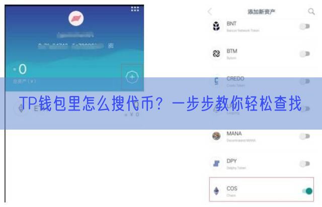 TP钱包里怎么搜代币？一步步教你轻松查找