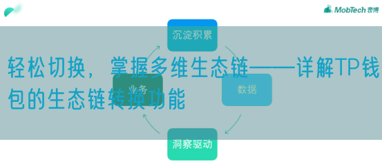 轻松切换，掌握多维生态链——详解TP钱包的生态链转换功能