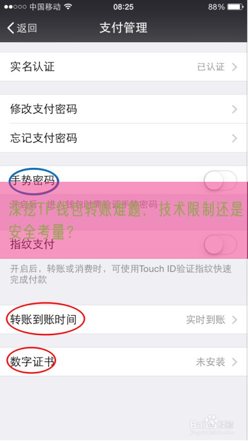 深挖TP钱包转账难题，技术限制还是安全考量？