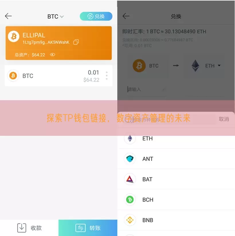 探索TP钱包链接，数字资产管理的未来