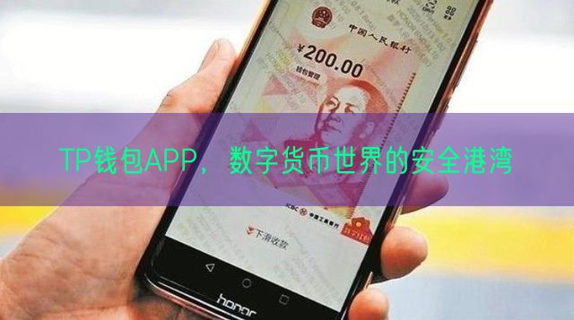 TP钱包APP，数字货币世界的安全港湾