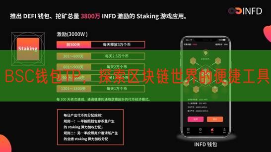 BSC钱包TP，探索区块链世界的便捷工具