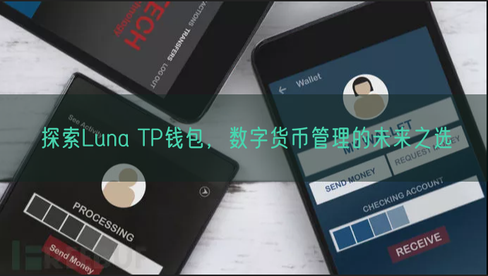 探索Luna TP钱包，数字货币管理的未来之选