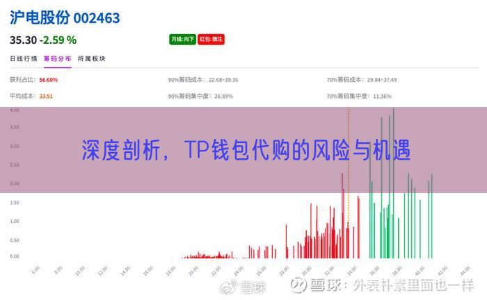 深度剖析，TP钱包代购的风险与机遇