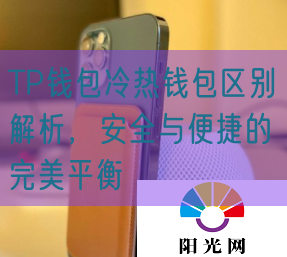 TP钱包冷热钱包区别解析，安全与便捷的完美平衡