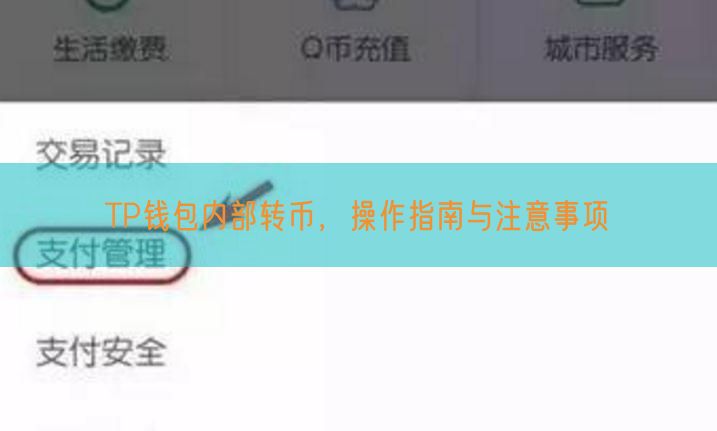 TP钱包内部转币，操作指南与注意事项