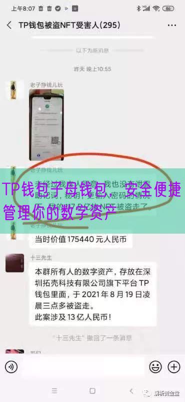 TP钱包子母钱包，安全便捷管理你的数字资产