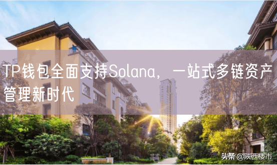 TP钱包全面支持Solana，一站式多链资产管理新时代