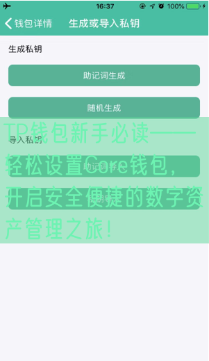 TP钱包新手必读——轻松设置Core钱包，开启安全便捷的数字资产管理之旅！