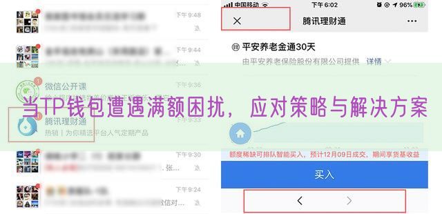 当TP钱包遭遇满额困扰，应对策略与解决方案