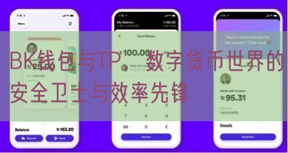BK钱包与TP，数字货币世界的安全卫士与效率先锋