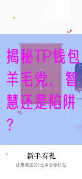 揭秘TP钱包羊毛党，智慧还是陷阱？