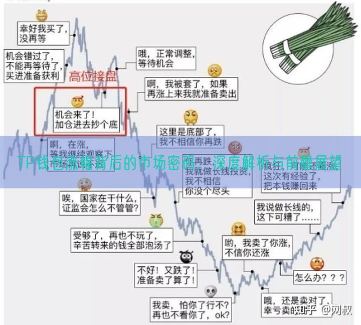 TP钱包涨幅背后的市场密码，深度解析与前瞻展望