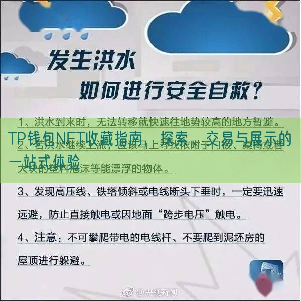 TP钱包NFT收藏指南，探索、交易与展示的一站式体验