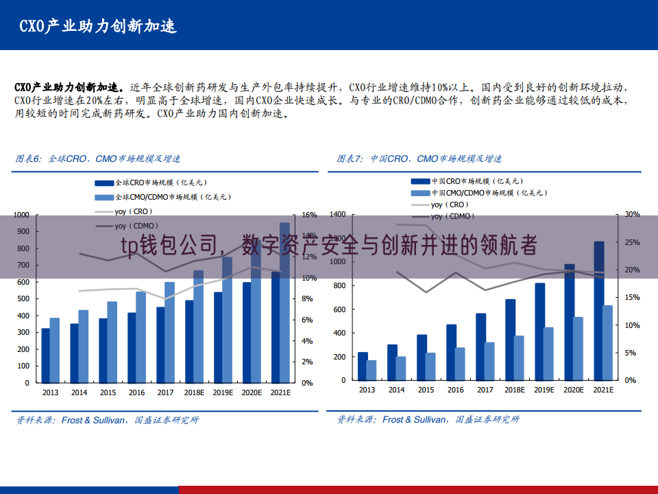 tp钱包公司，数字资产安全与创新并进的领航者