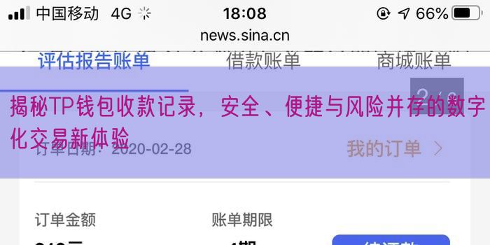 揭秘TP钱包收款记录，安全、便捷与风险并存的数字化交易新体验