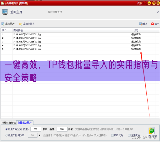 一键高效，TP钱包批量导入的实用指南与安全策略