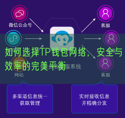 如何选择TP钱包网络，安全与效率的完美平衡