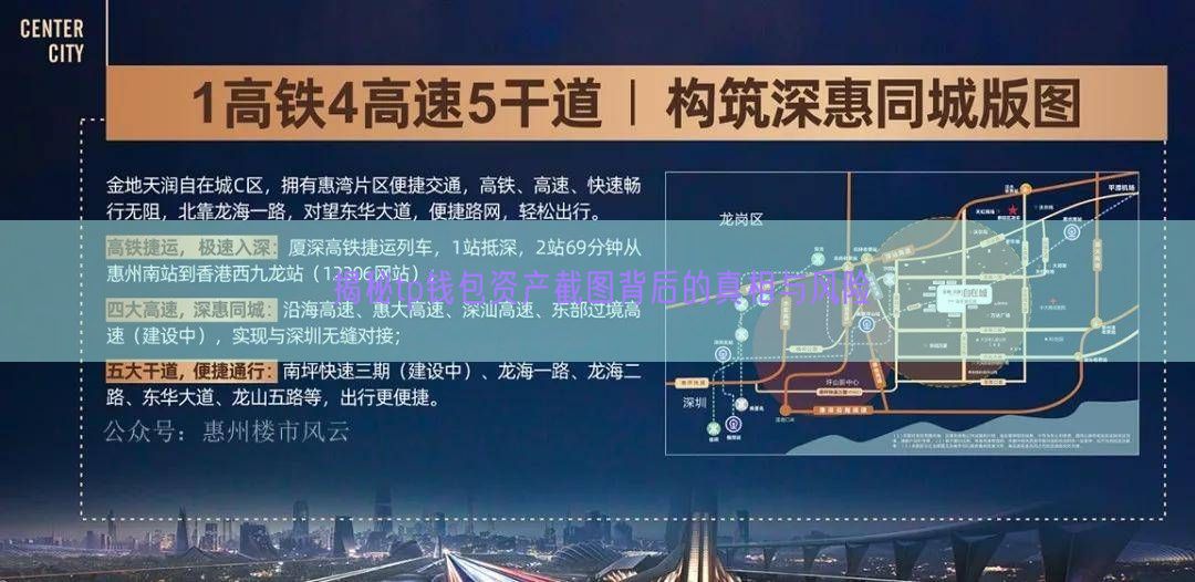 揭秘tp钱包资产截图背后的真相与风险