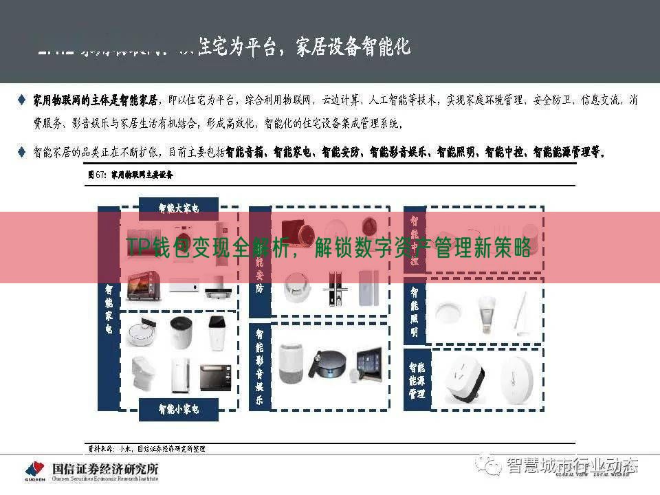 TP钱包变现全解析，解锁数字资产管理新策略