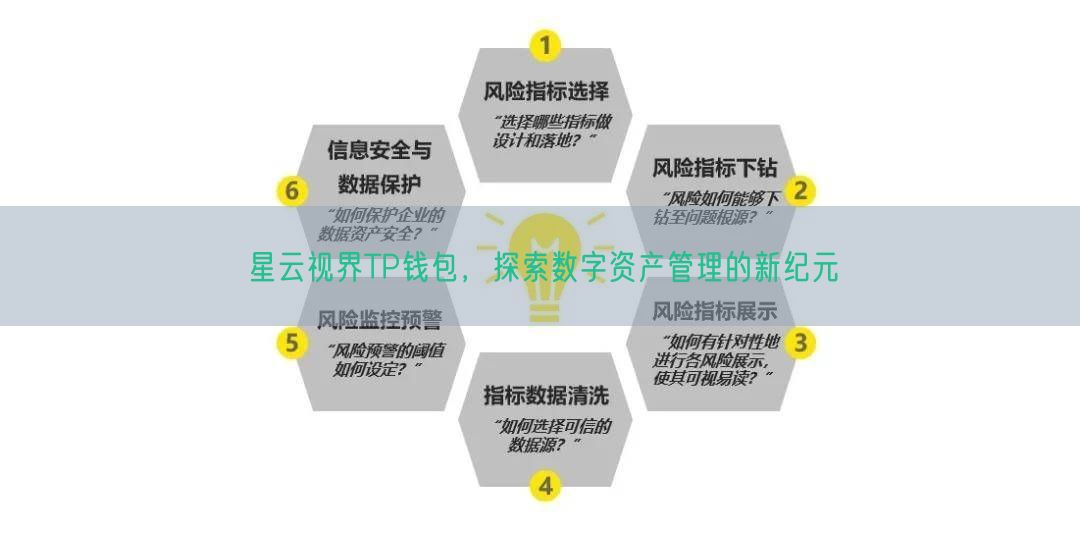 星云视界TP钱包，探索数字资产管理的新纪元