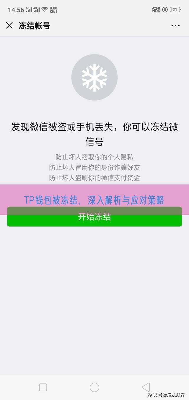 TP钱包被冻结，深入解析与应对策略