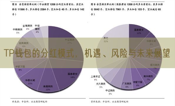 TP钱包的分红模式，机遇、风险与未来展望