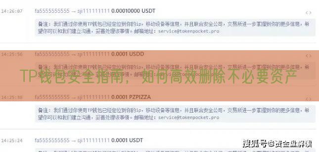 TP钱包安全指南，如何高效删除不必要资产