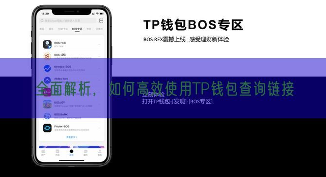 全面解析，如何高效使用TP钱包查询链接