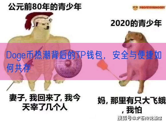 Doge币热潮背后的TP钱包，安全与便捷如何共存