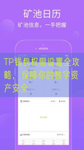 TP钱包权限设置全攻略，保障你的数字资产安全