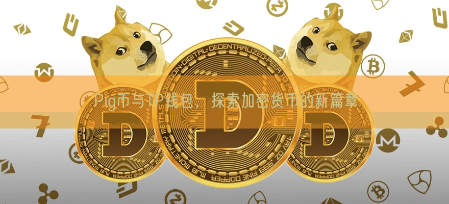 Pig币与TP钱包，探索加密货币的新篇章