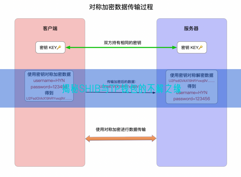 揭秘SHIB与TP钱包的不解之缘