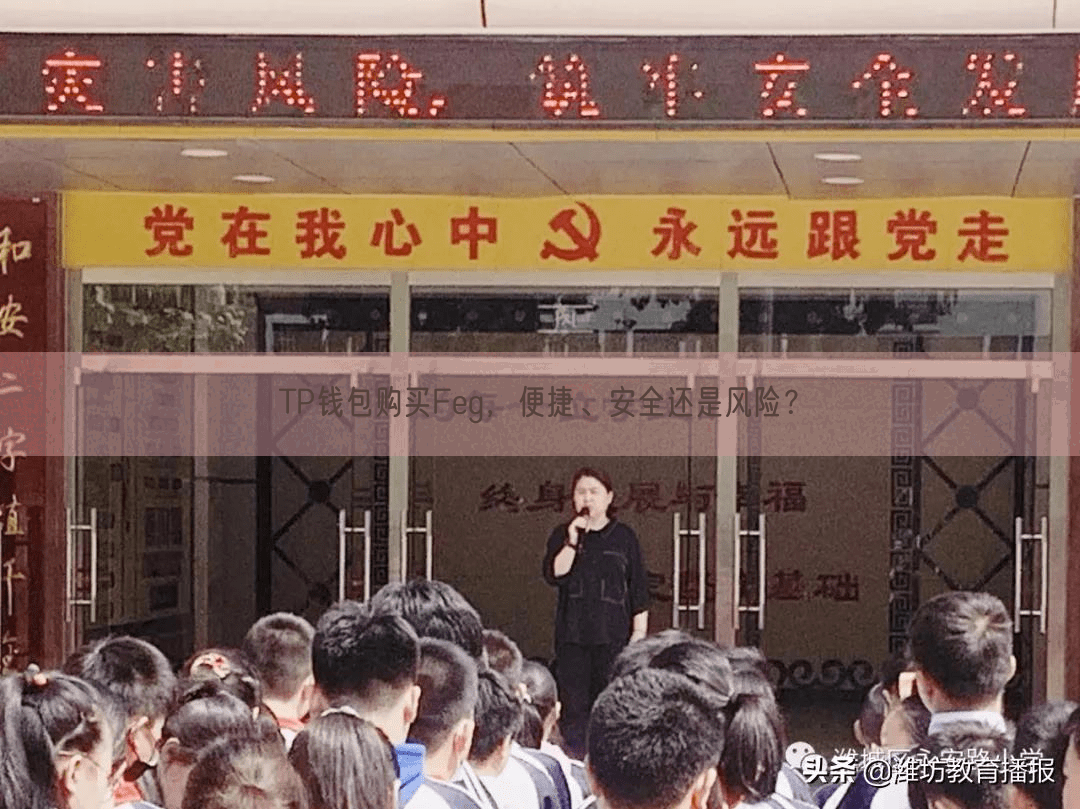 TP钱包购买Feg，便捷、安全还是风险？