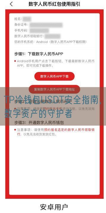 TP冷钱包USDT安全指南，数字资产的守护者