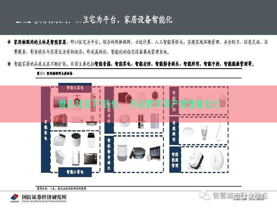 盘古社区TP钱包，开启数字资产管理新纪元