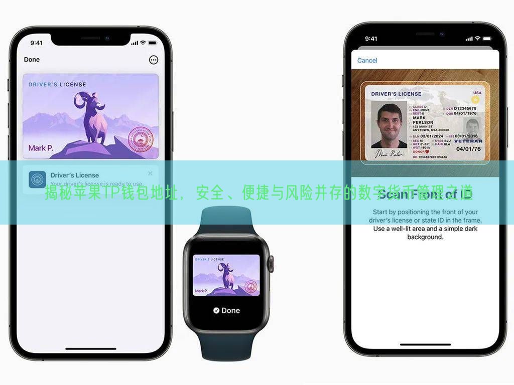揭秘苹果TP钱包地址，安全、便捷与风险并存的数字货币管理之道