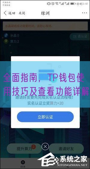 全面指南，TP钱包使用技巧及查看功能详解