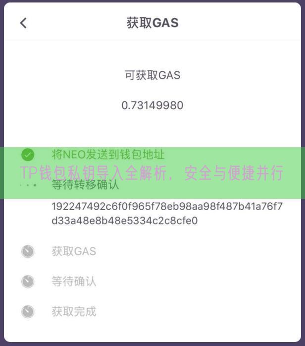 TP钱包私钥导入全解析，安全与便捷并行