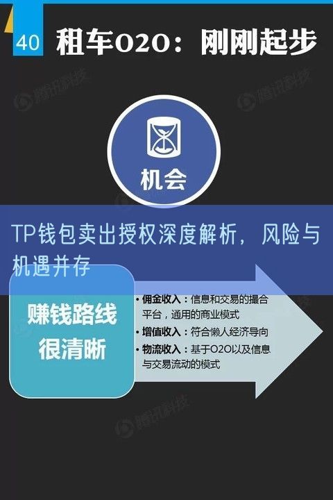 TP钱包卖出授权深度解析，风险与机遇并存